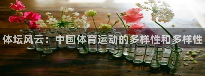 JJB竞技宝官网下载招商电话号码查询是多少:体坛风云:中国体