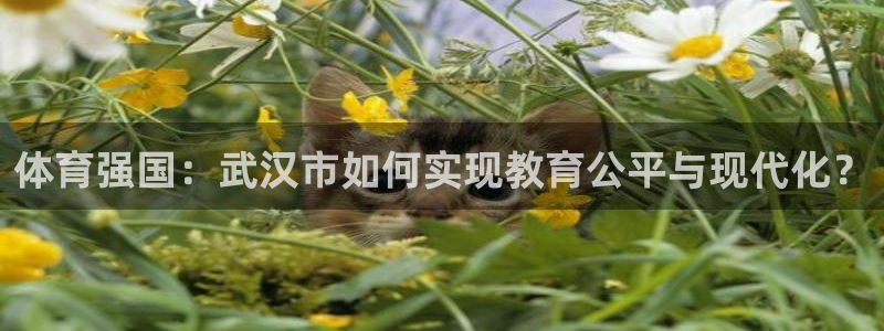 JJB竞技宝官方正版app娱乐:体育强国:武汉市如何实现教育